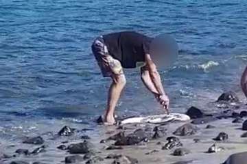 Un pescador submarino caza con fusil una especie protegida y la destripa a la vista de todos en Aguadulce/TA.